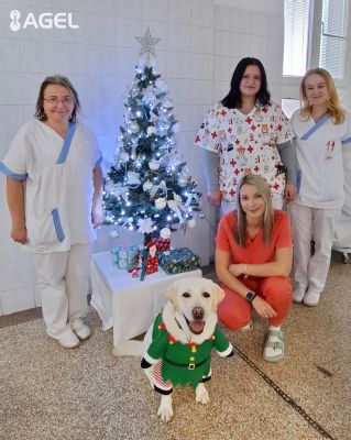 Predvianočné obdobie v skalickej nemocnici spríjemnil kanisterapeutický tím 